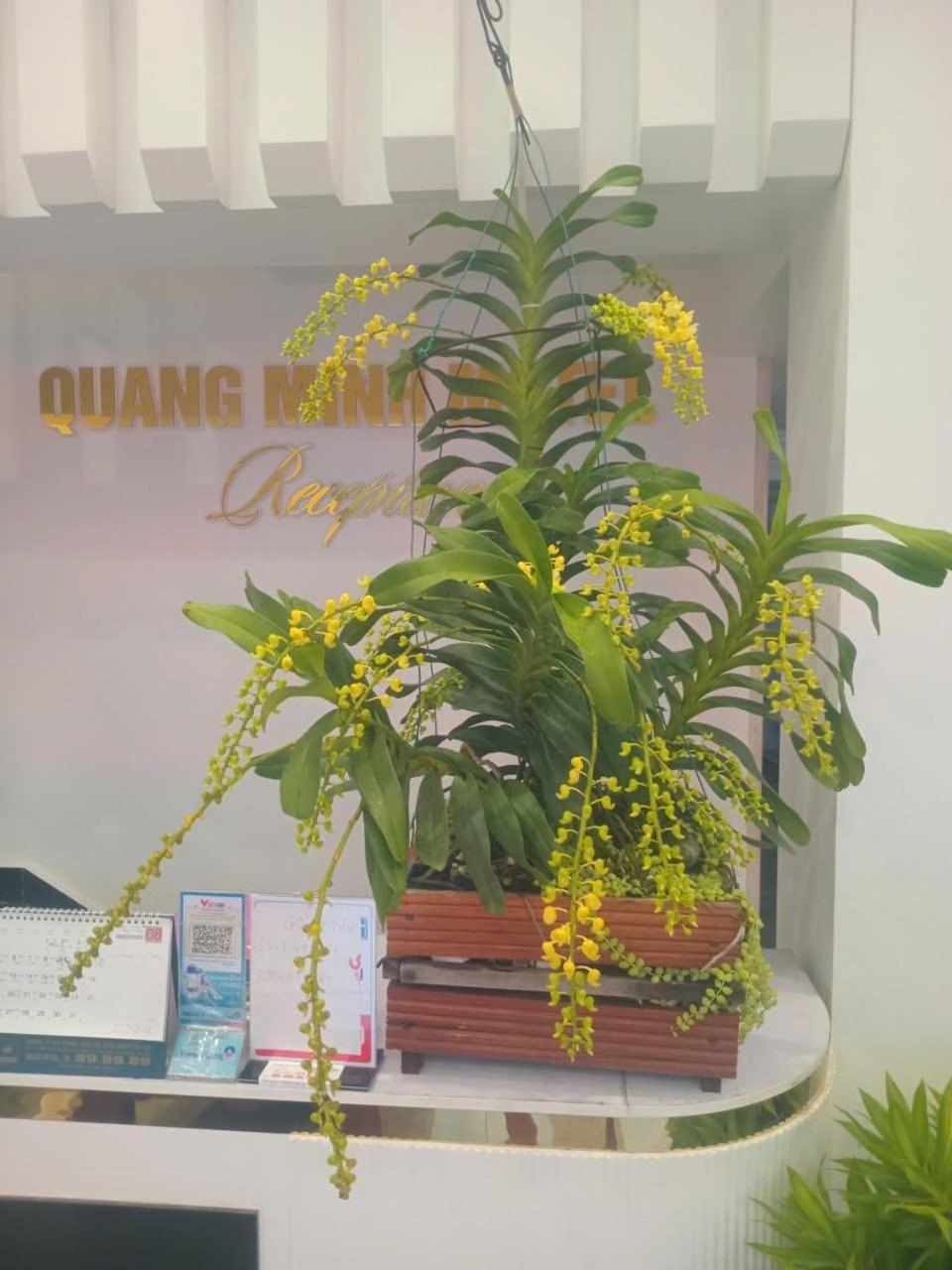Quang Minh Hotel Ðố Sơn Buitenkant foto