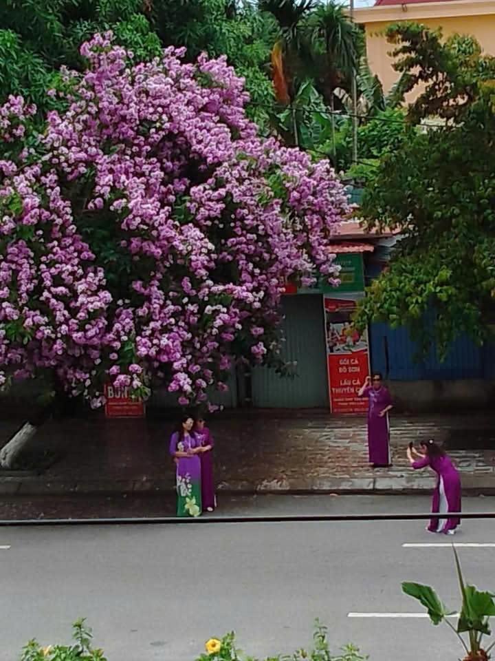 Quang Minh Hotel Ðố Sơn Buitenkant foto